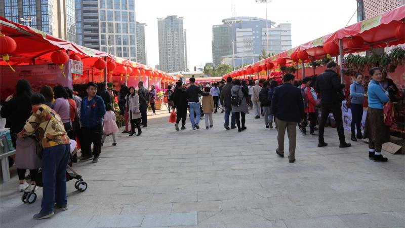 2018廣州春節(jié)花展