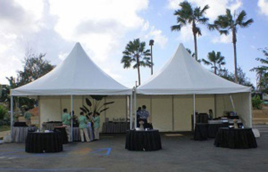 尖頂篷房-跨度6米