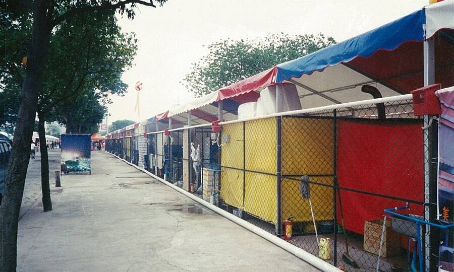 篷房租賃-惠州美食嘉年華